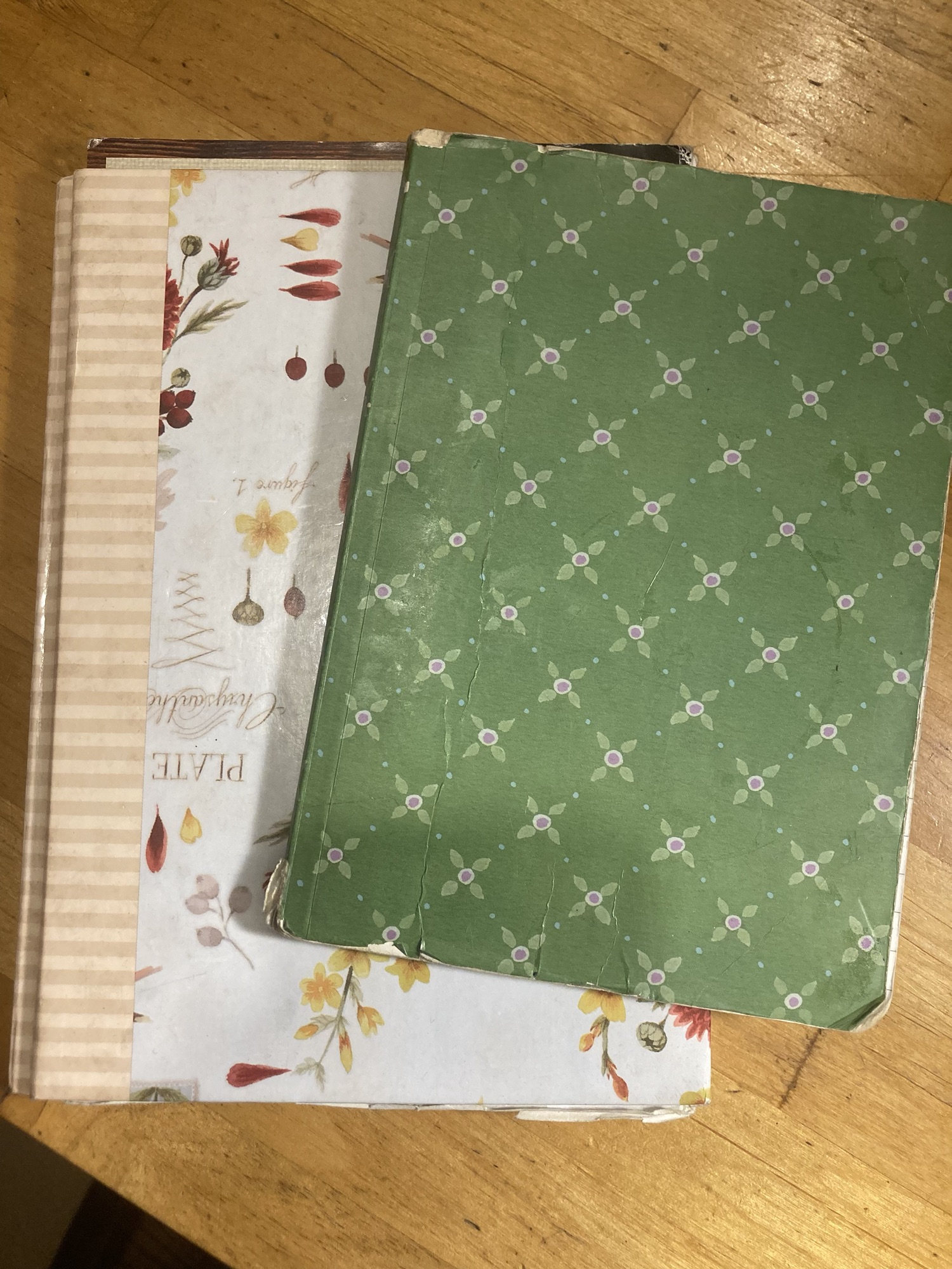 How to Keep a Botany Journal