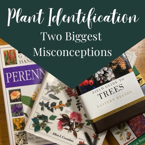 Two Biggest Misconceptions about Plant Identification